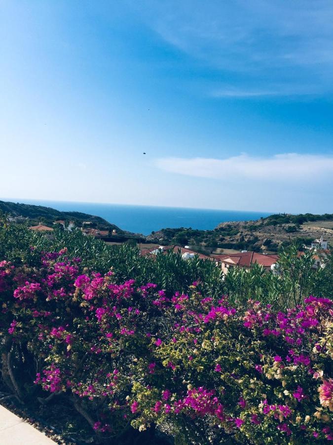 Pissouri Villa Miramar Luaran gambar